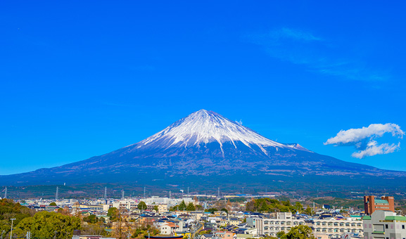 お別れは予想できないから迅速に対応します